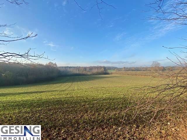 herrlicher Weitblick auf Felder Grundst�ck Luschendorf