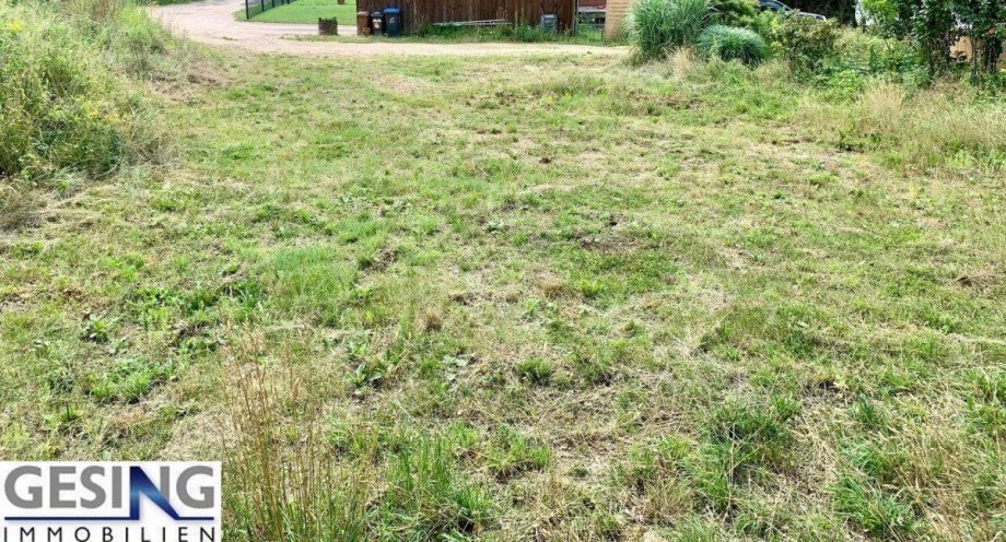 Blick vom Hang Richtung Zuwegung Wohngrundst�ck Gudow