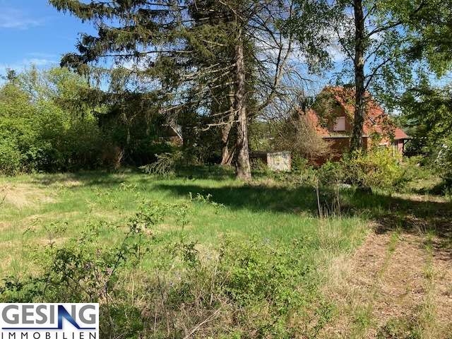 mit teilweise alten Baumbestand Grundst�ck Luschendorf