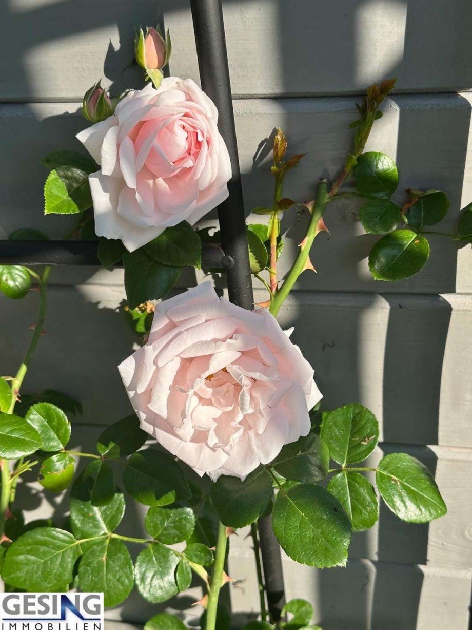 Lassen Sie sich verzaubern! Einfamilienhaus Banzin