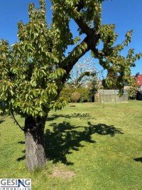 Bild (de765bc626f82bc10909b12a3ab1988f): -VERKAUFT- Familienfreundliches Einfamilienhaus mit Vollkeller und herrlichem Garten in Zarrentin